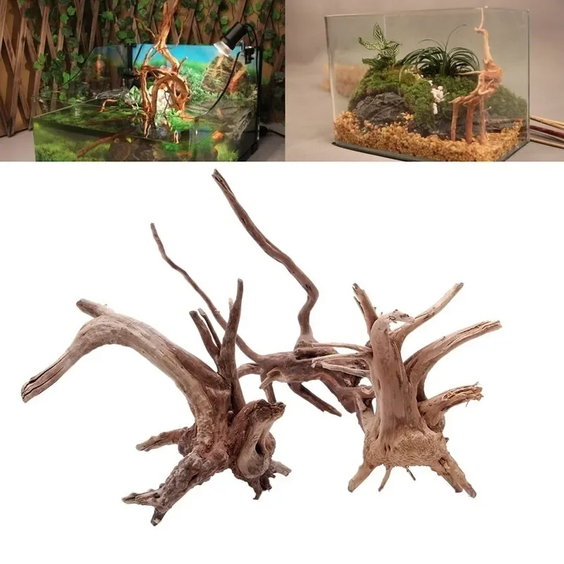 Aquarium Fish For Sale Online - ต้นไม้ธรรมชาติลำต้นไม้ดริฟท์วู้ดตู้ปลาตู้ปลาตู้ปลาตู้ปลาตู้ปลาที่รากกระบอกพืชไม้เครื่องประดับตกแต่งสำหรับพืชในตู้ปลา