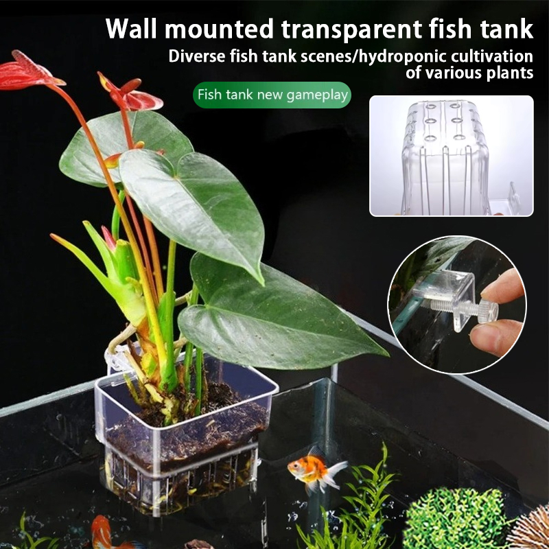 Aquarium Fish Pot - กระถางแขวนติดผนังสำหรับปลูกพืชน้ำในตู้ปลา ตะกร้าปลูกพืชน้ำในตู้ปลา กระถางปลูกพืชน้ำในตู้ปลา