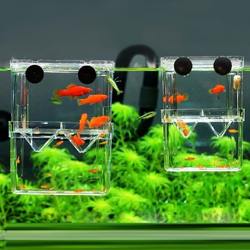 Aquarium Fish Cave - กล่องเพาะพันธุ์ปลาแบบสองชั้นพิพิธภัณฑ์สัตว์น้ำสำหรับผู้เพาะพันธุ์ปลาแบบสองชั้นมีความชัดเจนสูงใช้งานได้หลากหลายรูปแบบ