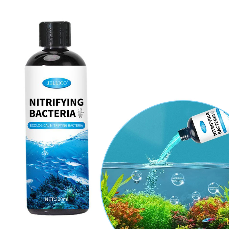 Aquarium Fish Items - Nitrifying Bacteria Liquid Fish Tank เครื่องกรองน้ํา