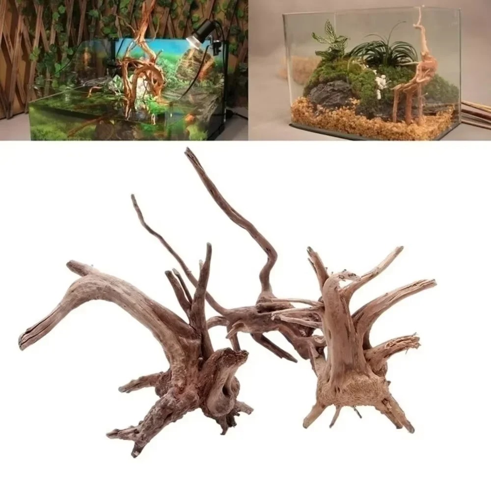 Aquarium Fish Fishing - (15-20 ซม.) ไม้ลอยน้ำธรรมชาติสำหรับตกแต่งตู้ปลา - ของตกแต่งตู้ปลาคุณภาพพรีเมียม ไม้แท้สำหรับสร้างภูมิทัศน์ในสภาพแวดล้อมน้ำ