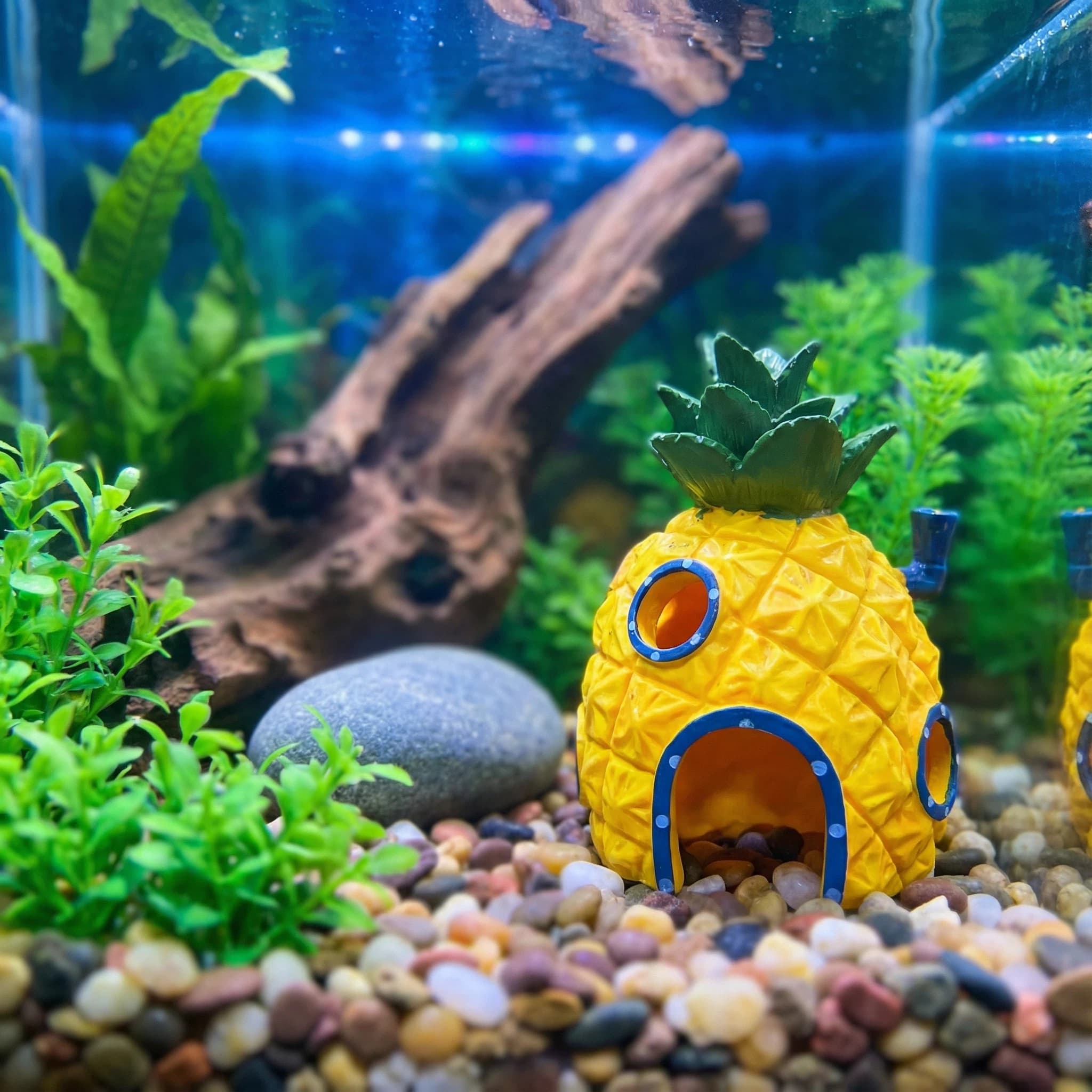 Aquarium Fish Cave - ของตกแต่งตู้ปลาทรงบ้านสับปะรด， ถ้ำซ่อนตัวทำจากเรซินรักษ์โลกสำหรับกุ้งเบต้า， ของประดับตู้ปลาขอบเรียบ 4.52 นิ้ว