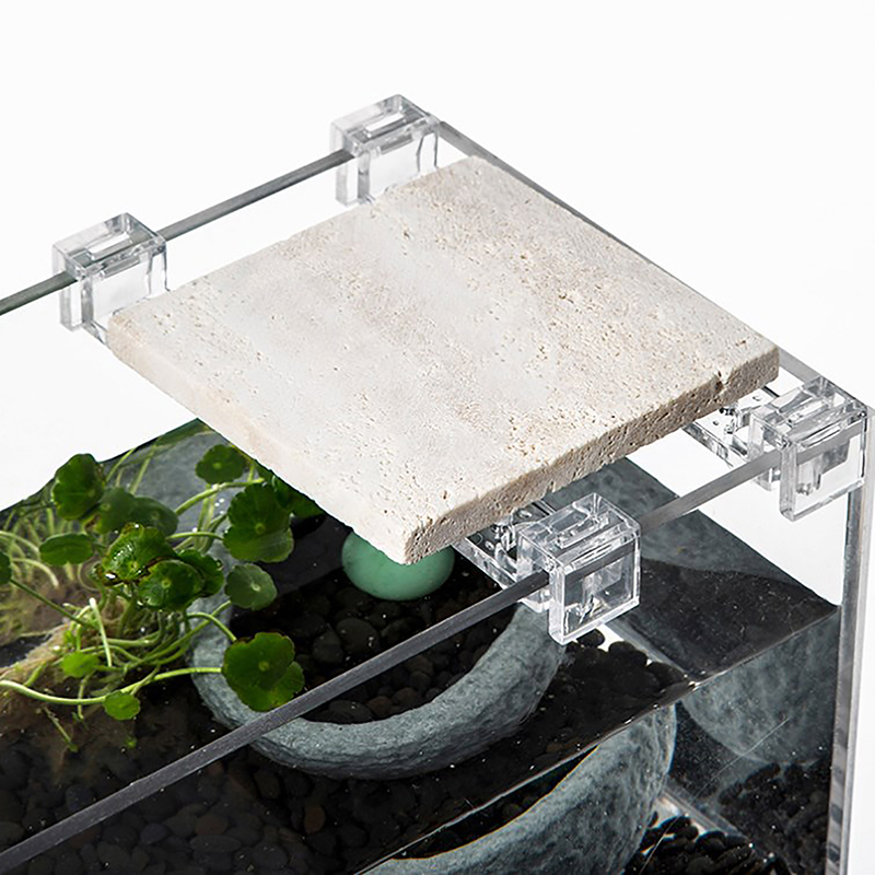 4ชิ้นผู้ถือผ้าคลุมถังน้ำปลาอะค - Aquarium Fish Items บทวิจารณ์และราคา