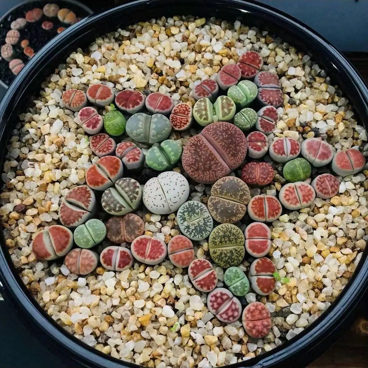 1 pc-250g คริสตัลธรรมชาติกรวดห - Aquarium Fish Pot บทวิจารณ์และราคา