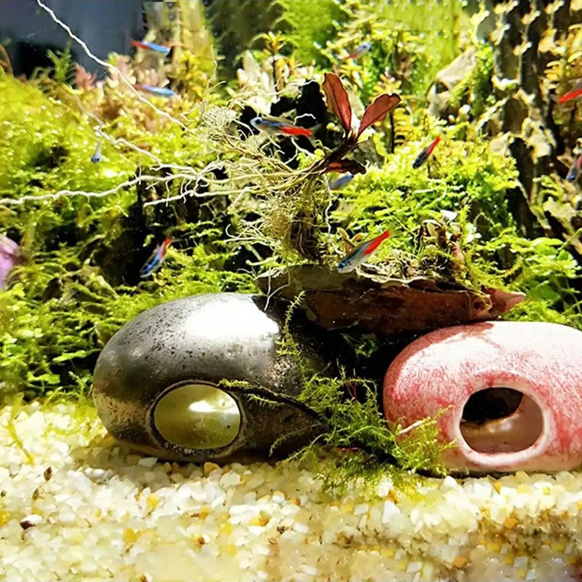 1 pc-250g คริสตัลธรรมชาติกรวดห - Aquarium Fish Pot บทวิจารณ์และราคา