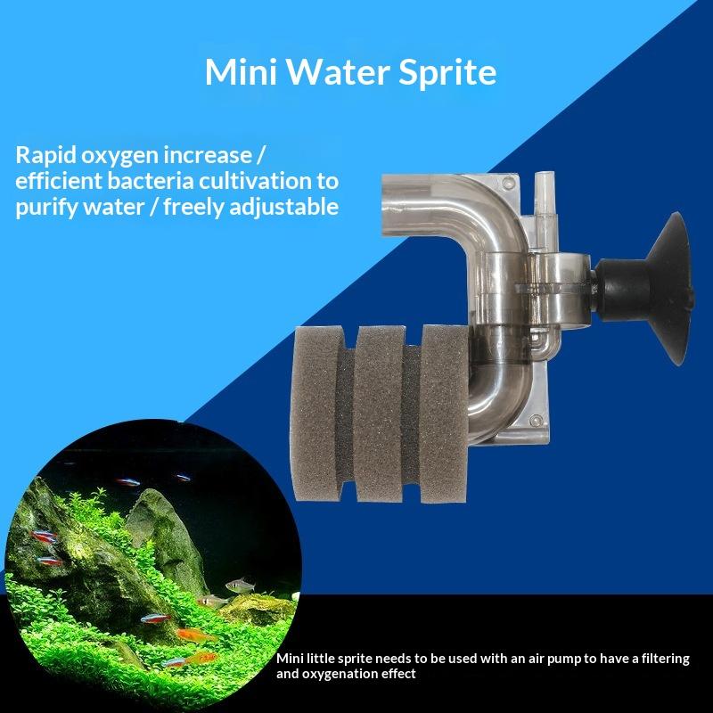 ลดราคา-ฟิลเตอร์ฟองน้ำตู้ปลาขนา - Aquarium Fish For Sale Online บทวิจารณ์และราคา