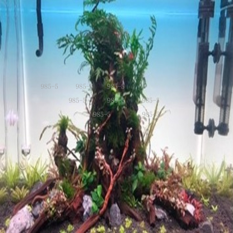 แผ่นพื้นหลังอะคริลิคเรืองแสงสำ - Aquarium Fish Rainbow บทวิจารณ์และราคา