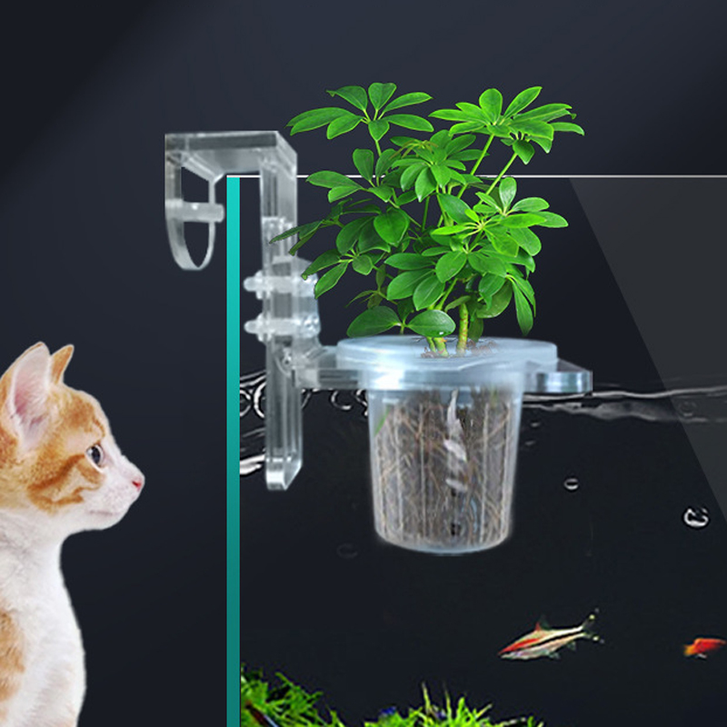 ถังปลาปลูกถ้วย Hydroponic สนับ - Aquarium Fish Pot บทวิจารณ์และราคา