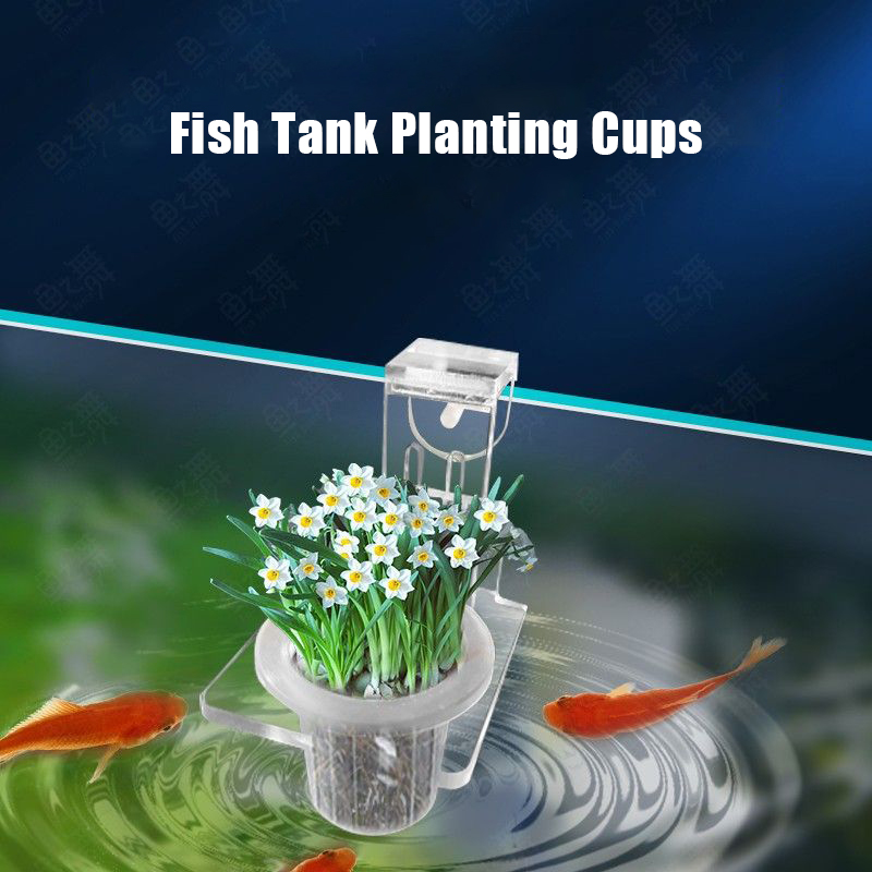 ถังปลาปลูกถ้วย Hydroponic สนับ - Aquarium Fish Pot บทวิจารณ์และราคา