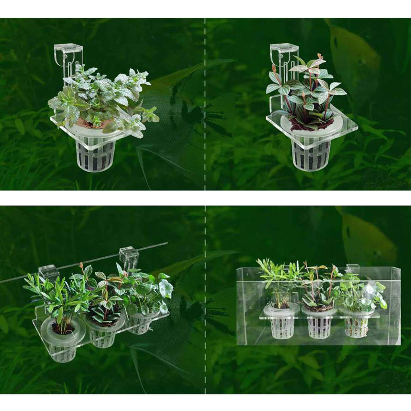 ถังปลาปลูกถ้วย Hydroponic สนับ - Aquarium Fish Pot บทวิจารณ์และราคา