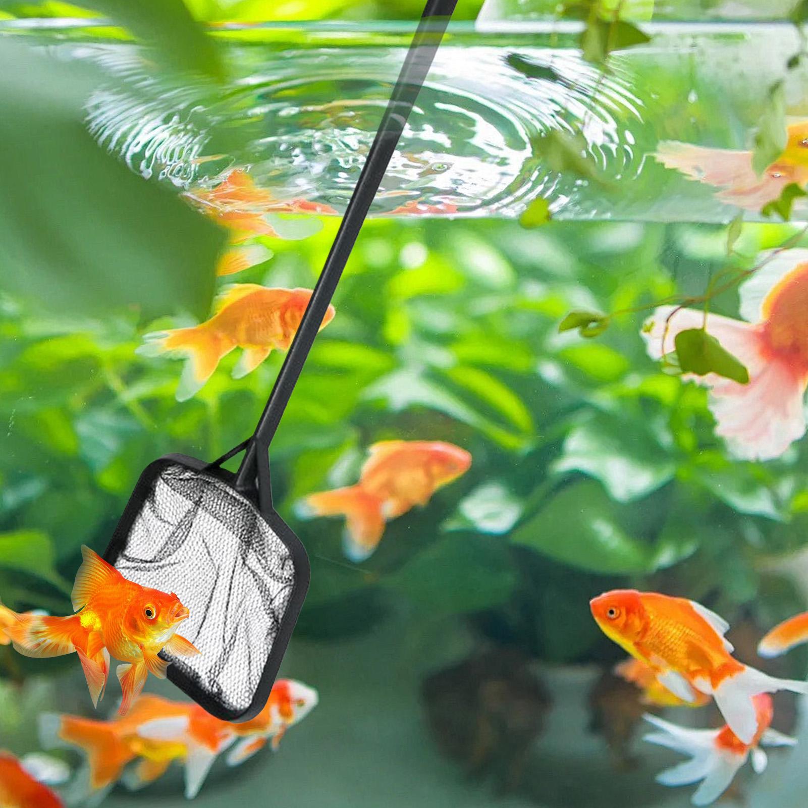 ตาข่ายทำความสะอาดสระว่ายน้ำแบบ - Aquarium Fish Items บทวิจารณ์และราคา