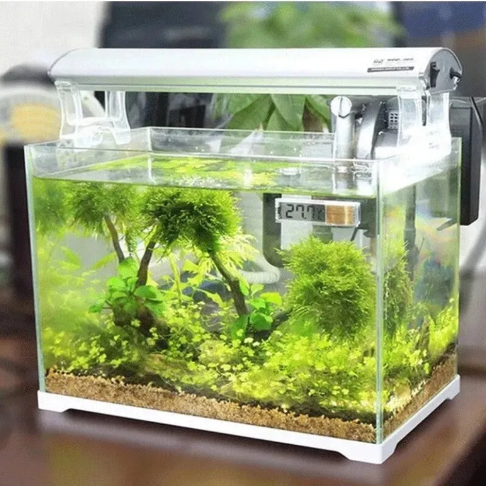 เทอร์โมมิเตอร์วัดอุณหภูมิในตู้ - Aquarium Thermometer บทวิจารณ์และราคา