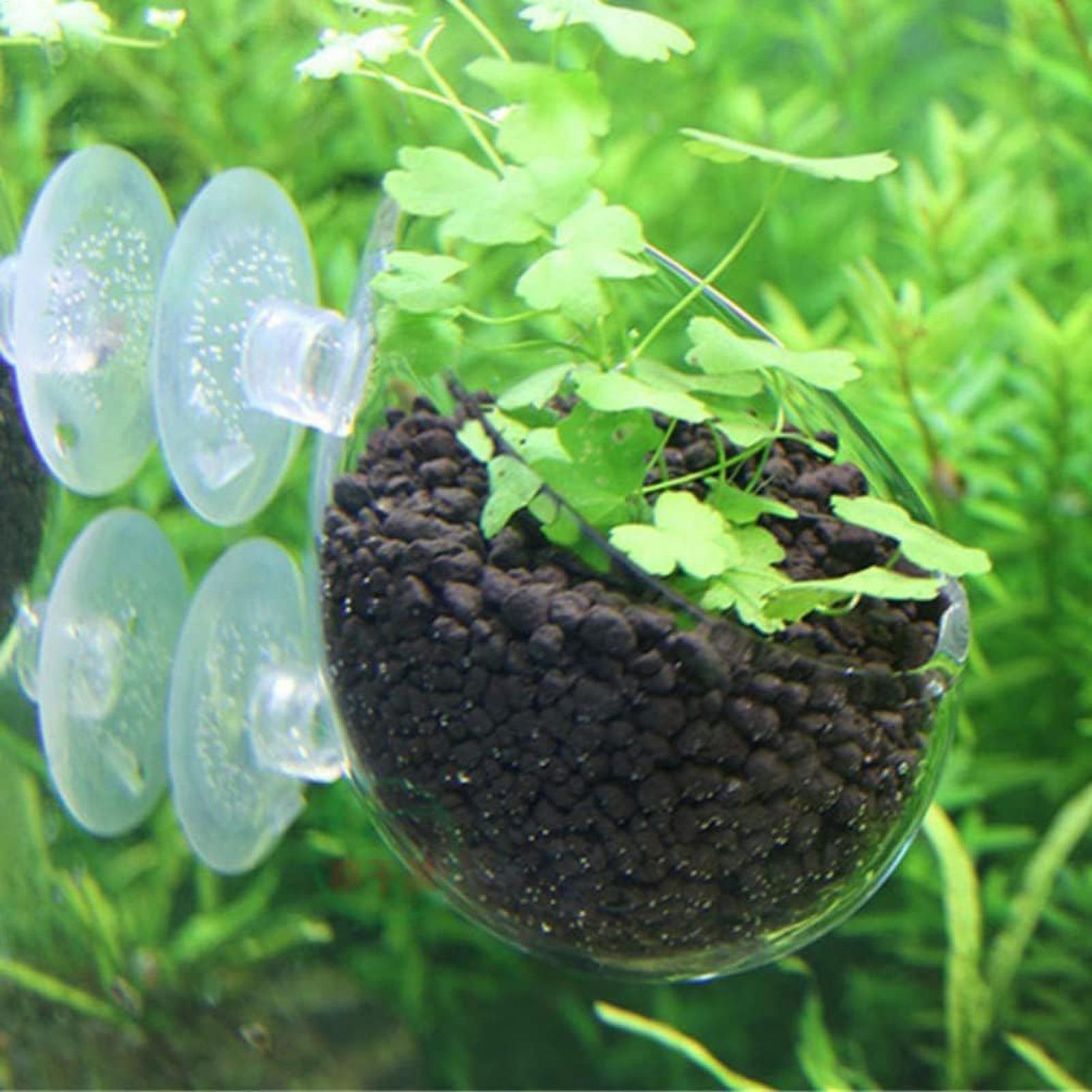 ที่วางต้นไม้ในตู้ปลา กระถางแก้ - Aquarium Fish Pot บทวิจารณ์และราคา