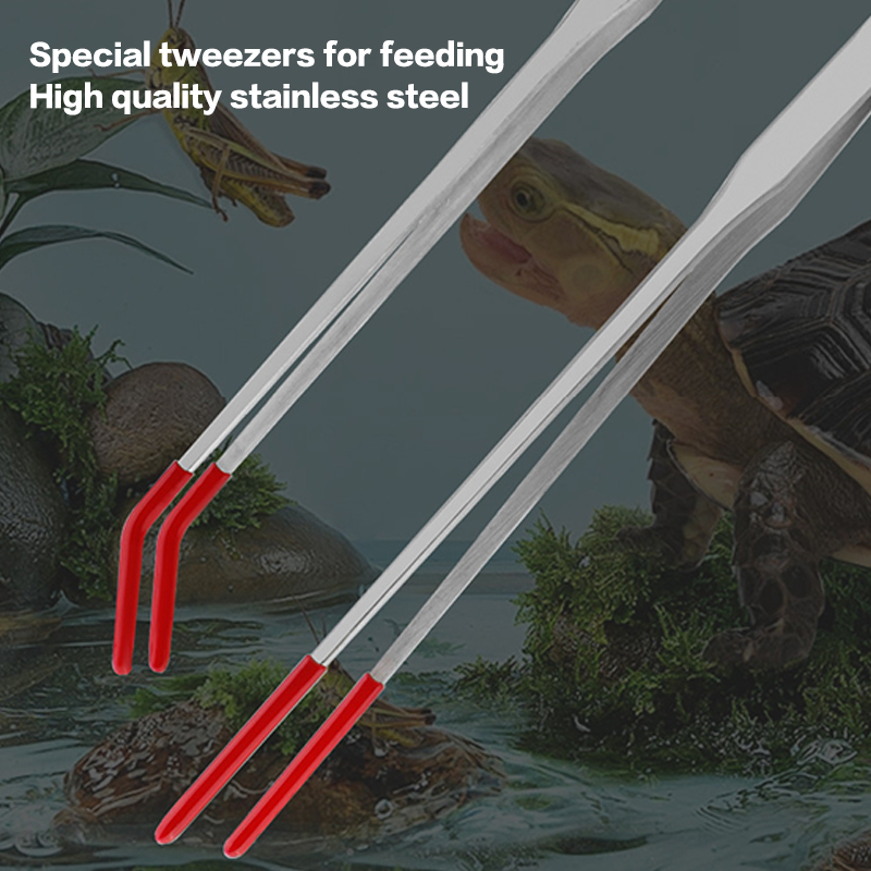 เครื่องมือบำรุงรักษาตู้ปลาสแตน - Aquarium Fish Items บทวิจารณ์และราคา