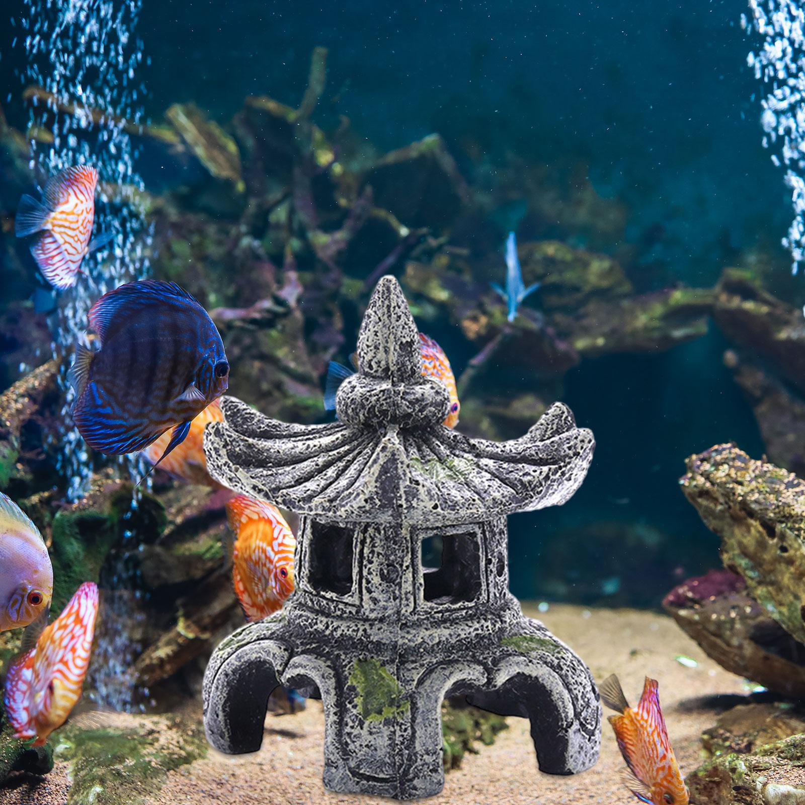 โคมไฟหินสำหรับตกแต่งตู้ปลาแบบอ - Aquarium Fish For Sale Online บทวิจารณ์และราคา