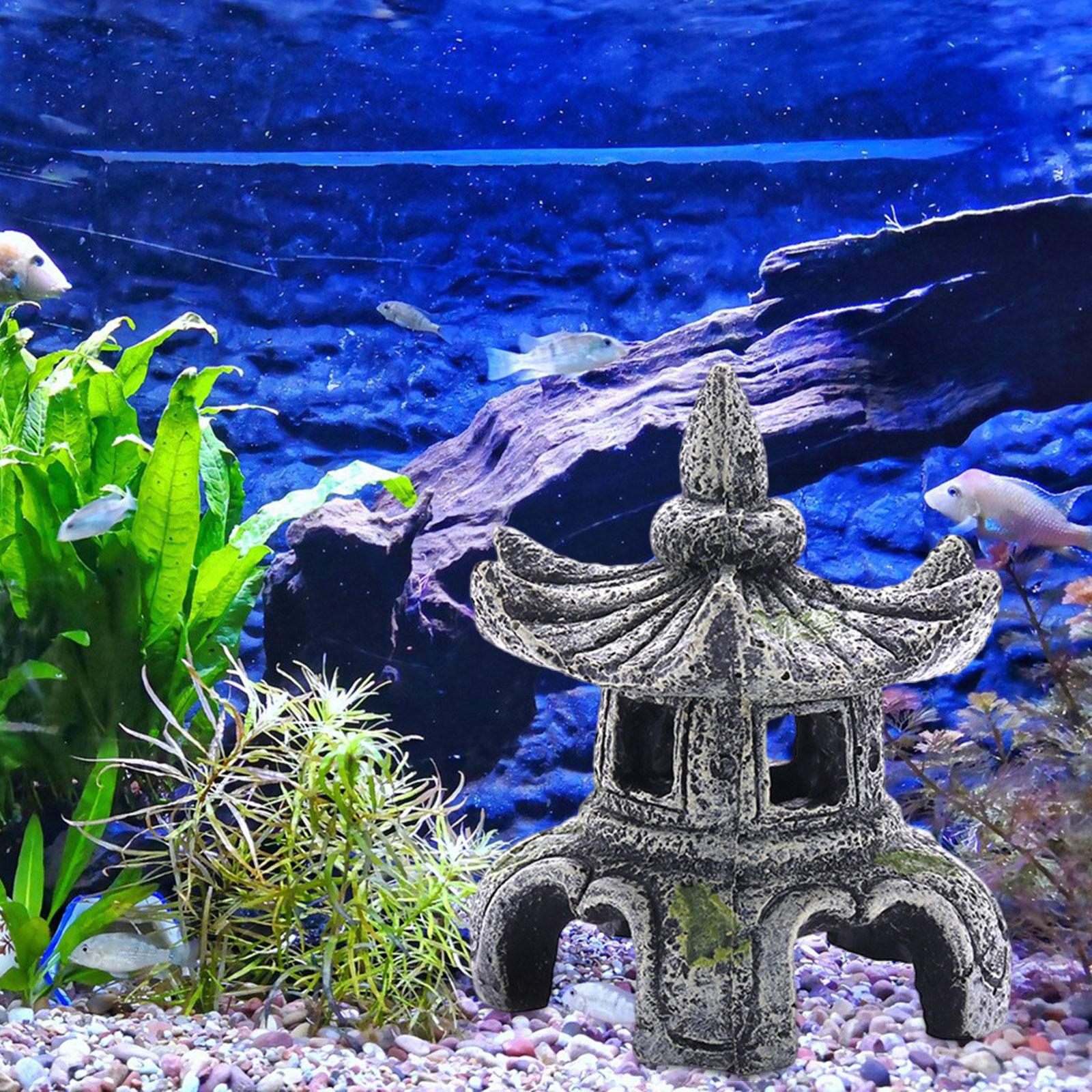 โคมไฟหินสำหรับตกแต่งตู้ปลาแบบอ - Aquarium Fish For Sale Online บทวิจารณ์และราคา