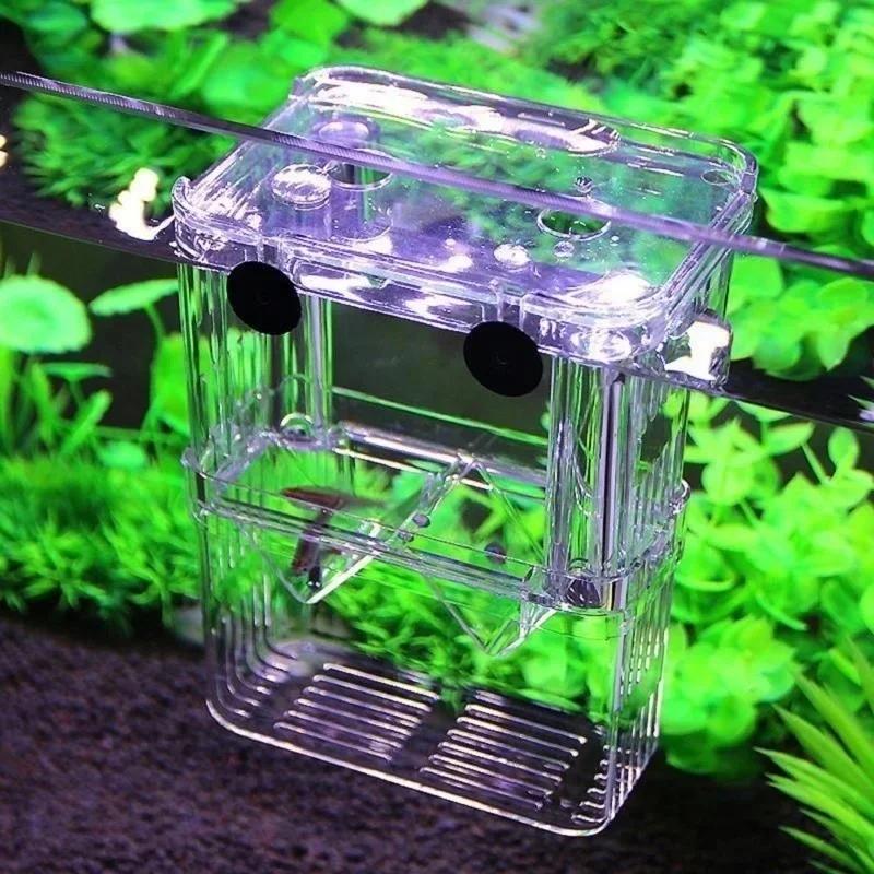 โปร่งใส Fish Aquarium High CLE - Aquarium Fish Cave บทวิจารณ์และราคา