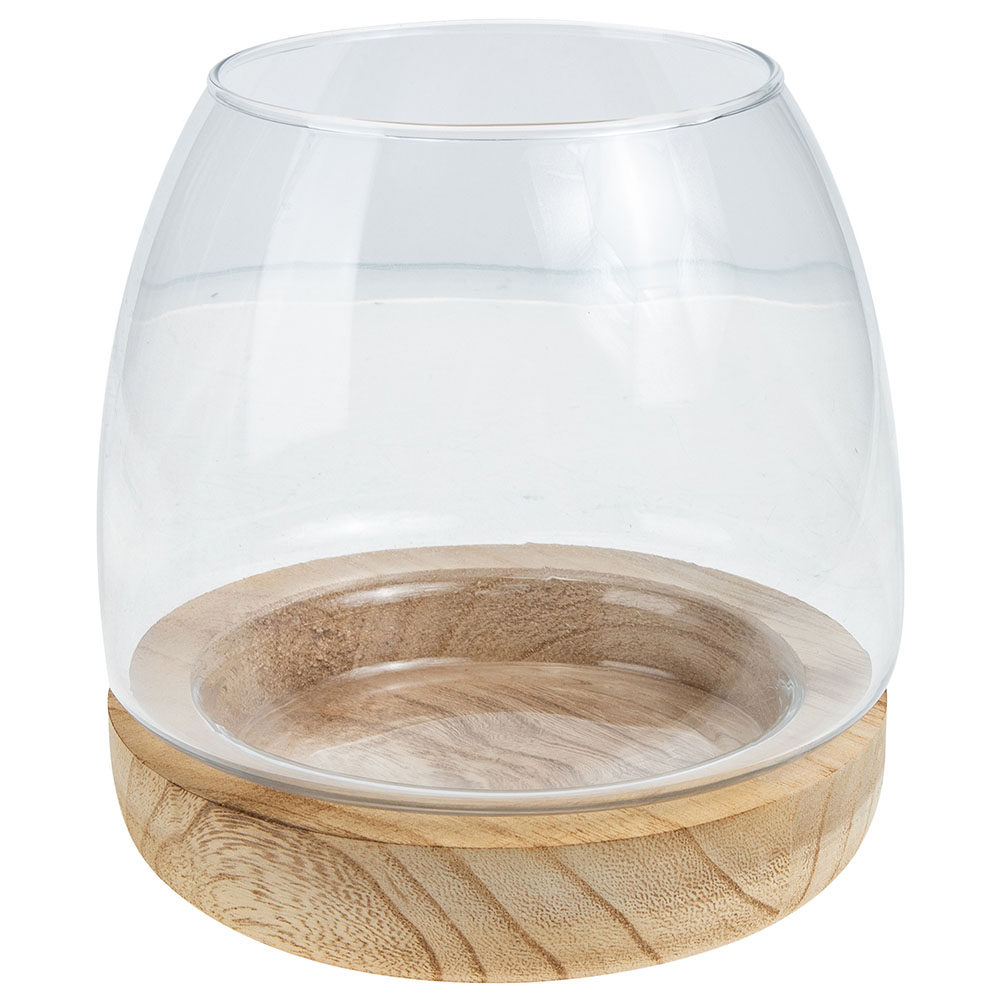 ชุดตู้ปลูกพืชไฮโดรโพนิกส์แบบแก - Aquarium Fish Unique บทวิจารณ์และราคา