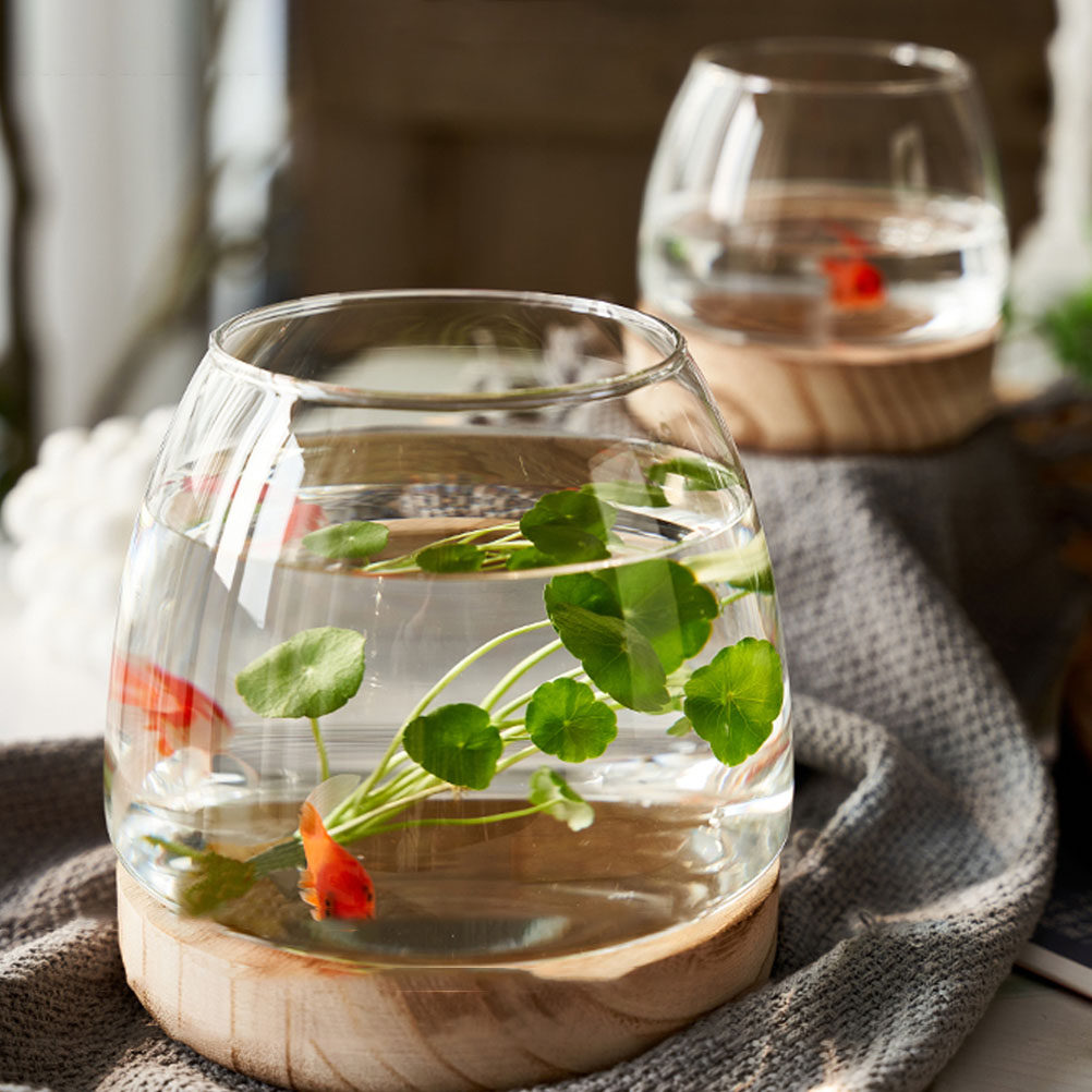 ชุดตู้ปลูกพืชไฮโดรโพนิกส์แบบแก - Aquarium Fish Unique บทวิจารณ์และราคา