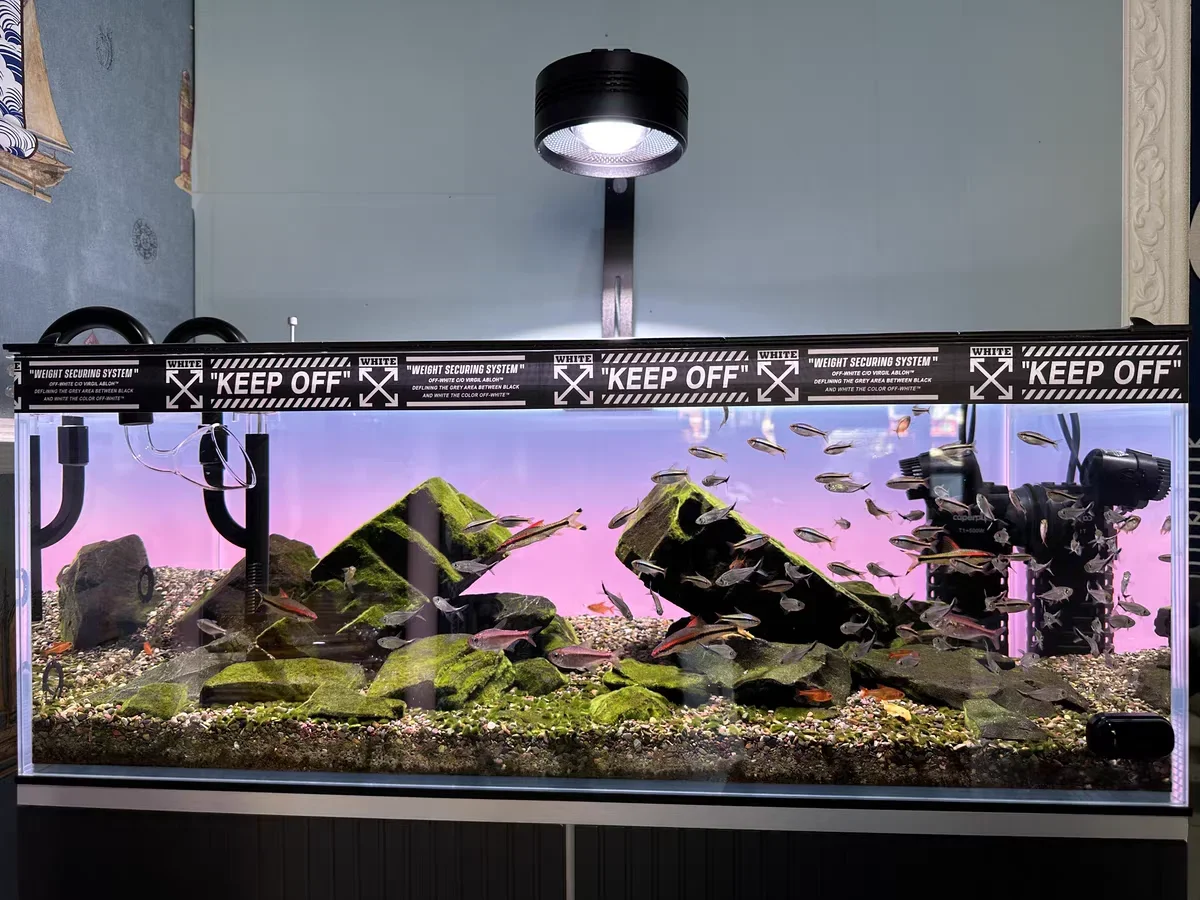 ฉากหลังตู้ปลาอะคริลิค RGB สีสั - Aquarium Fish Colour บทวิจารณ์และราคา