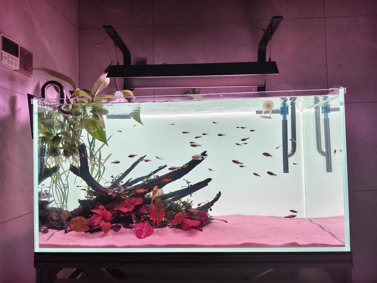 ฉากหลังตู้ปลาอะคริลิค RGB สีสั - Aquarium Fish Colour บทวิจารณ์และราคา