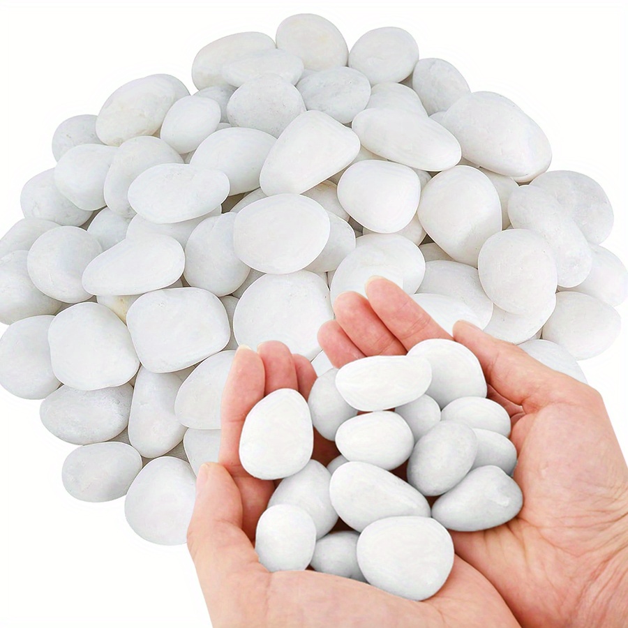หินกรวดขัดเงาสีขาวธรรมชาติ ขนา - Aquarium Fish Saltwater บทวิจารณ์และราคา