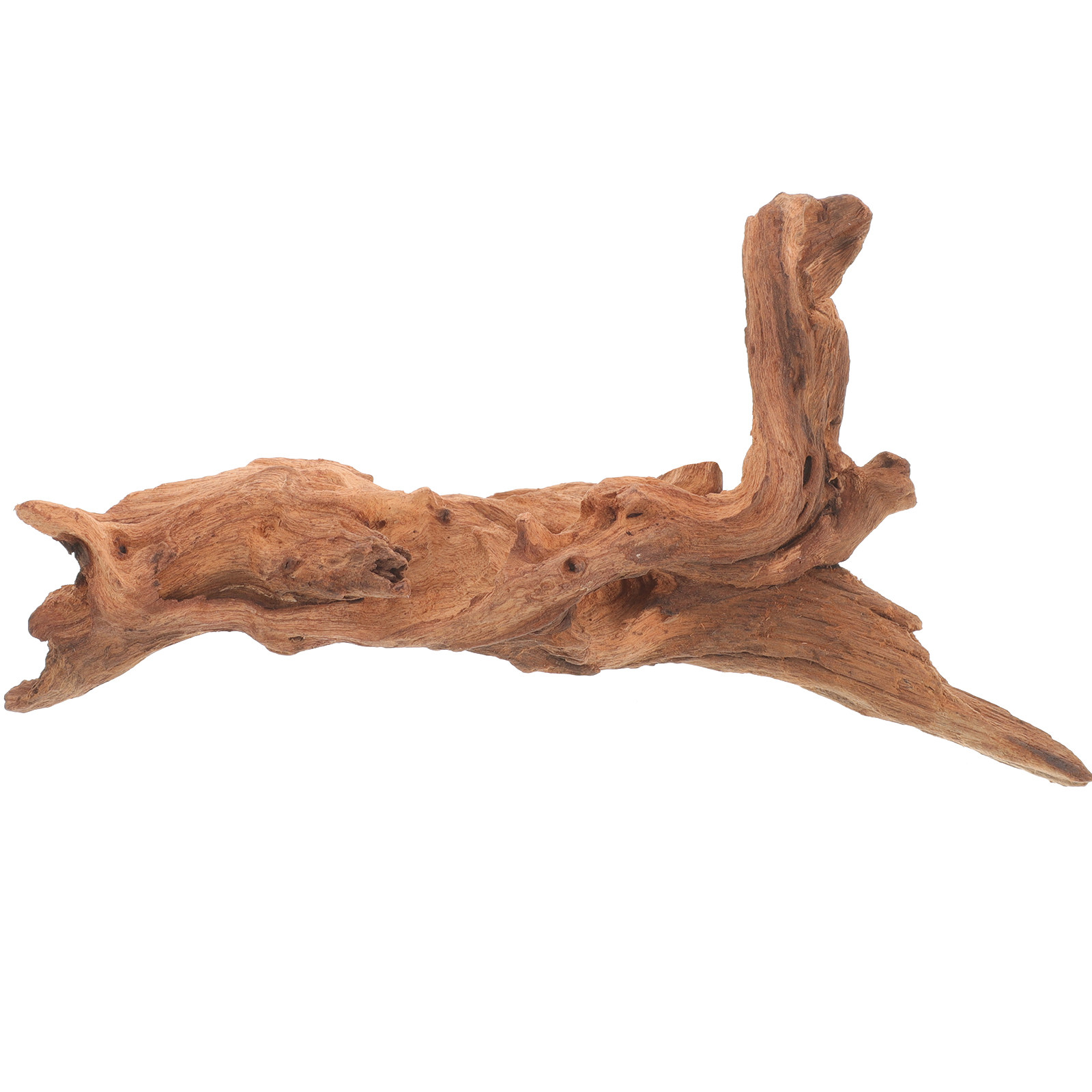 ไม้ตกแต่งตู้ปลา รูปทรงธรรมชาติ - Aquarium Fish Unique บทวิจารณ์และราคา