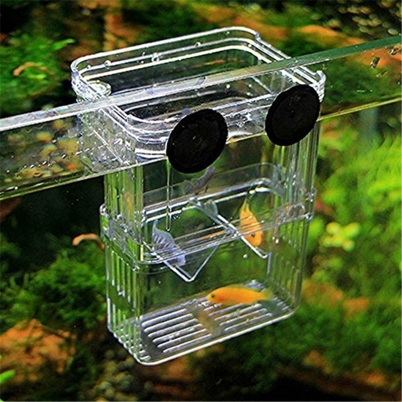 กล่องเพาะพันธุ์ปลาแบบสองชั้นพิ - Aquarium Fish Cave บทวิจารณ์และราคา
