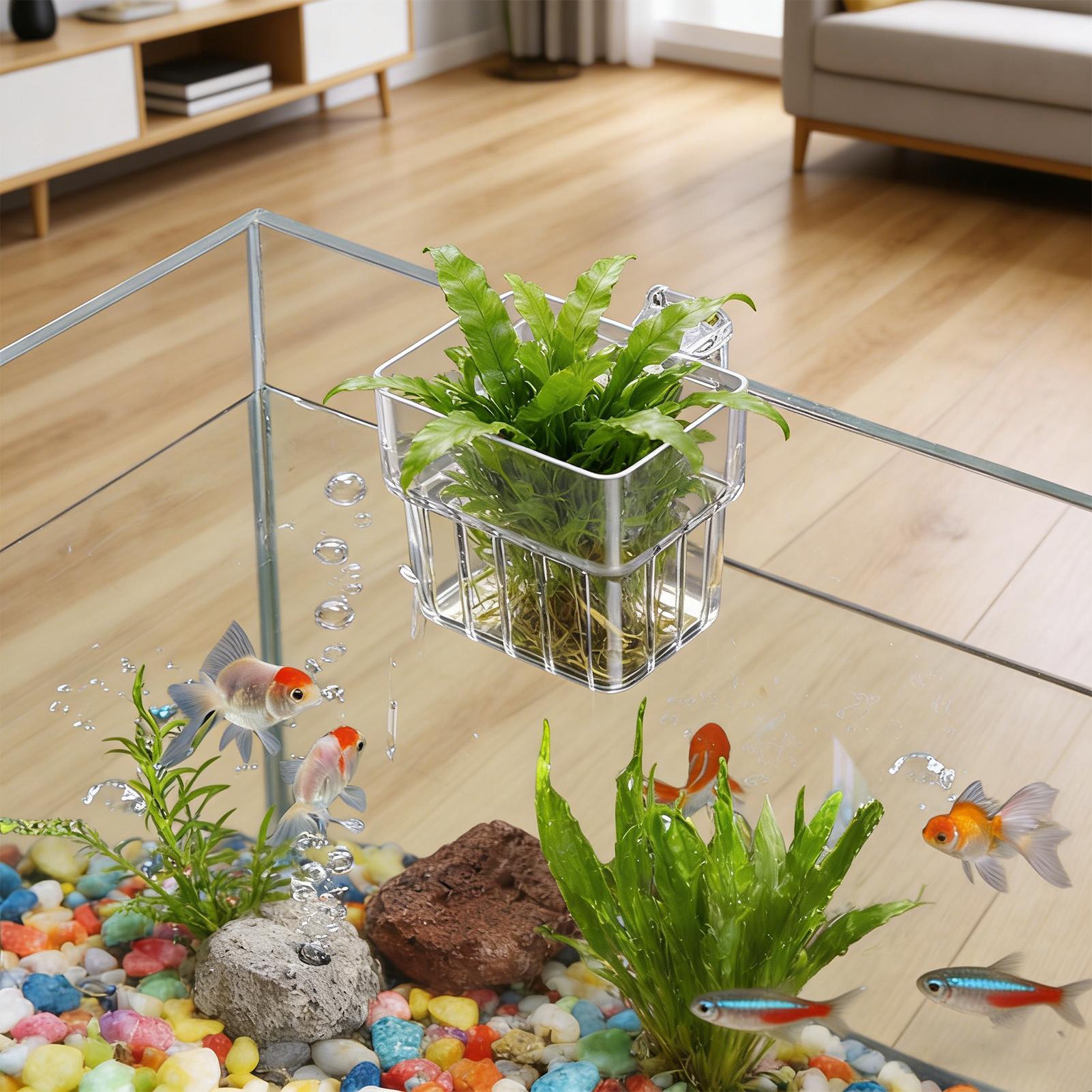 กระถางใสสำหรับแขวนปลูกพืชน้ำใน - Aquarium Fish Pot บทวิจารณ์และราคา