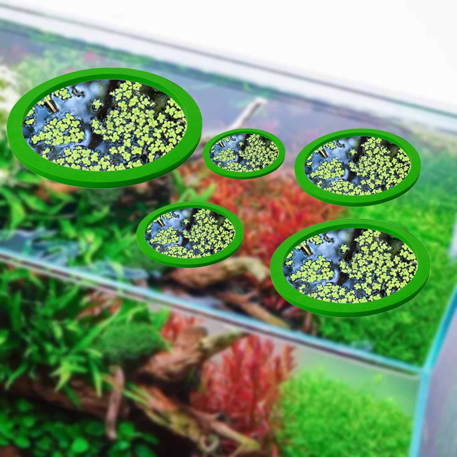 5 ชิ้น EVA ปลา Feeding แหวน Aq - Aquarium Fish Items บทวิจารณ์และราคา