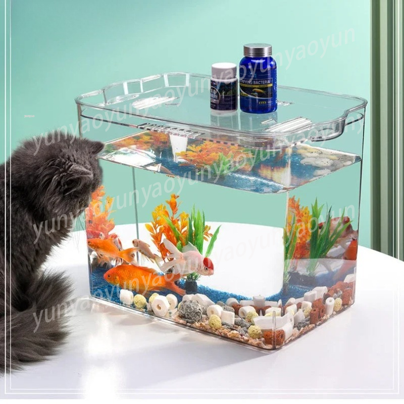 ตู้ปลาทำความสะอาดตัวเอง พร้อมเ - Aquarium Fish Supplier บทวิจารณ์และราคา