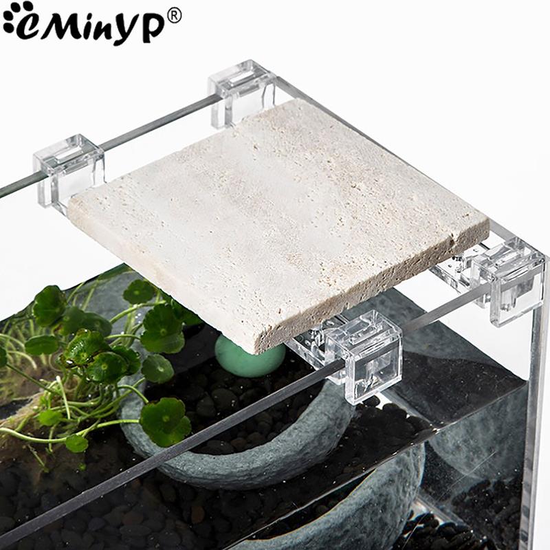 4 ชิ้นถังปลาคลิปอะคริลิคสําหรั - Aquarium Fish Items บทวิจารณ์และราคา