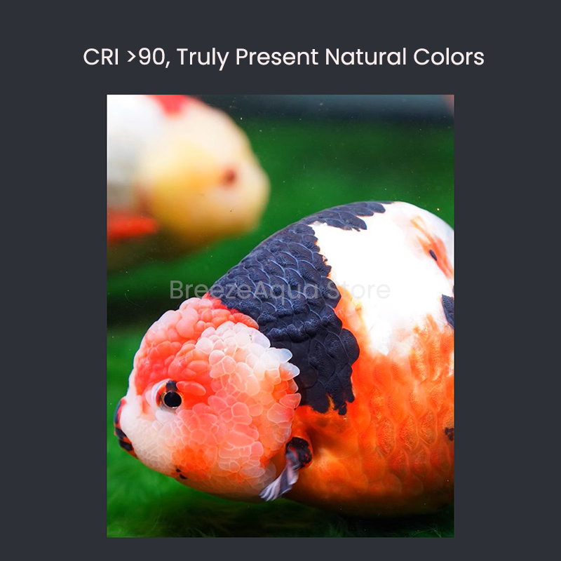 ไฟ LED สำหรับตู้ปลา MAYIN Supe - Aquarium Fish Colour บทวิจารณ์และราคา