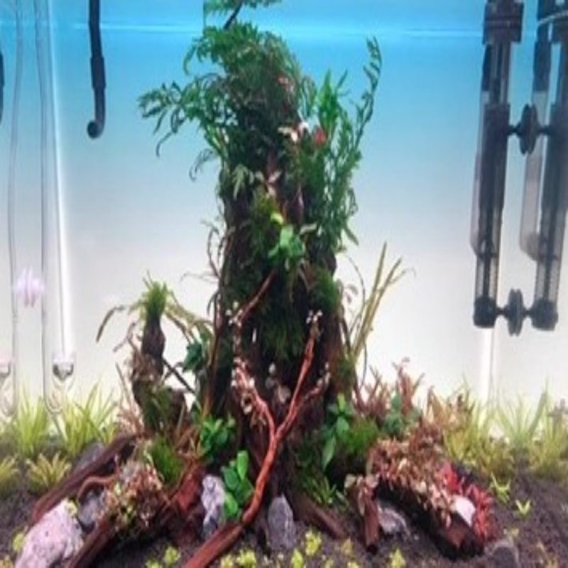 แผ่นพื้นหลังตู้ปลา ไฟ LED สำหร - Aquarium Fish Rainbow บทวิจารณ์และราคา