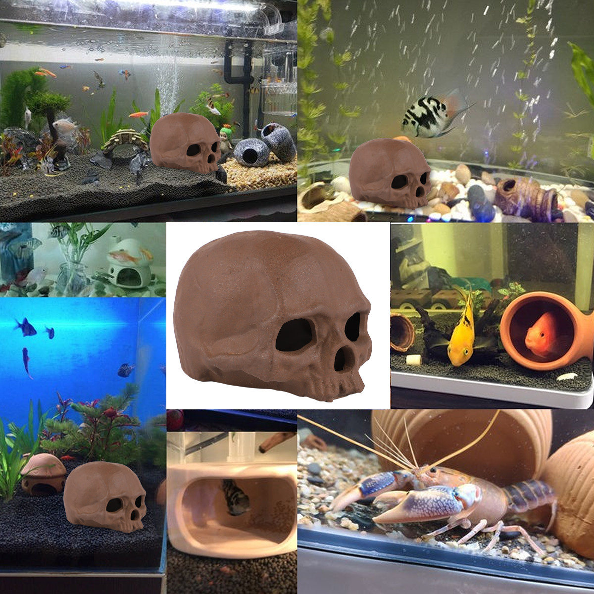 ของตกแต่งตู้ปลาดีไซน์หัวกะโหลก - Aquarium Fish Unique บทวิจารณ์และราคา