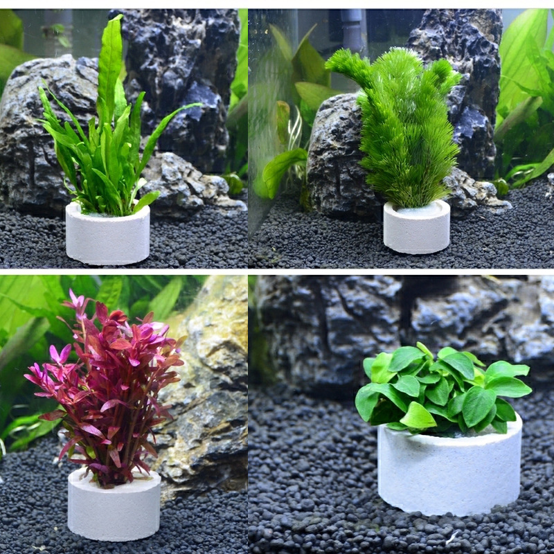 แหวนเซรามิกตกแต่งตู้ปลา, หม้อใ - Aquarium Fish Pot บทวิจารณ์และราคา