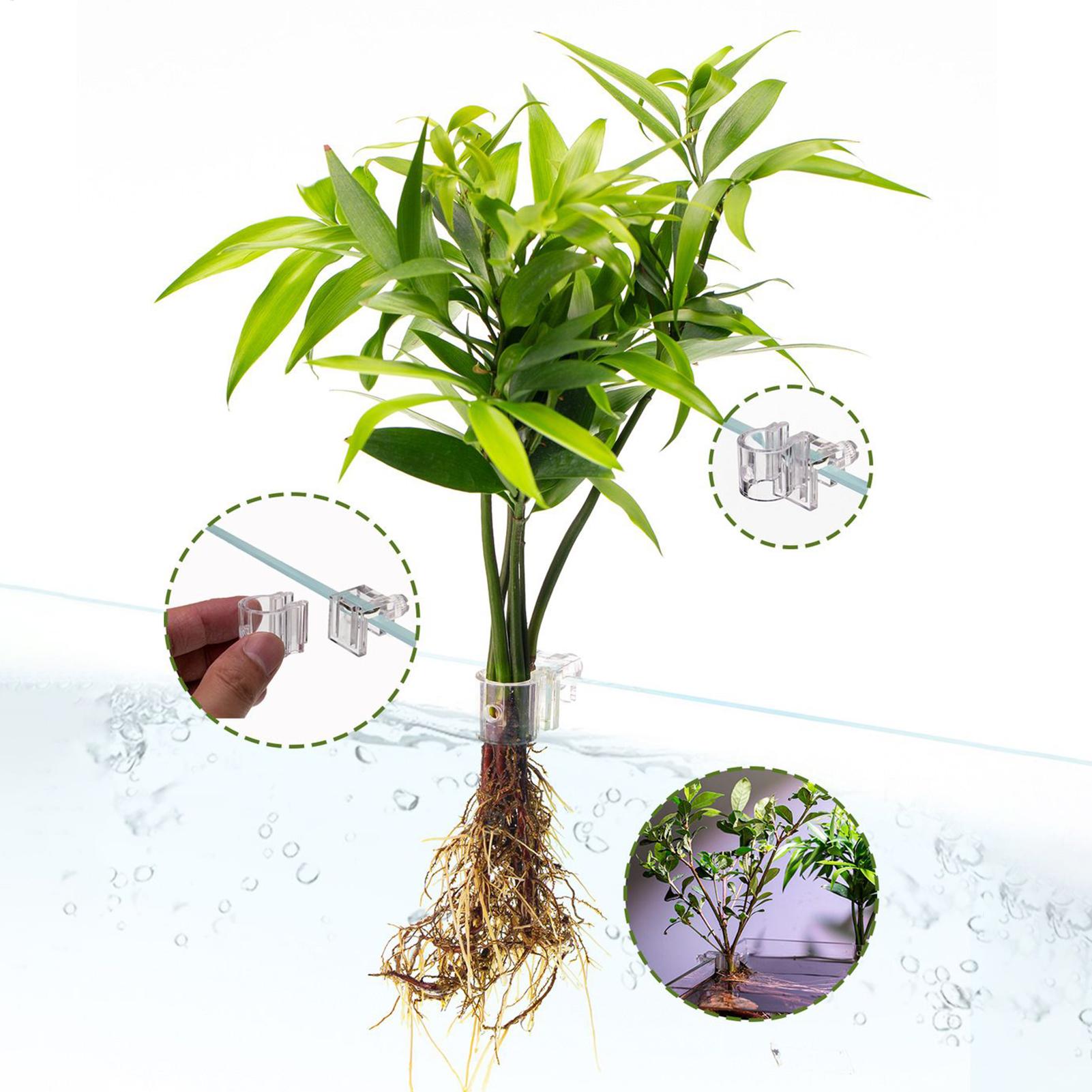 กระถางปลูกต้นไม้ในตู้ปลาขนาดเล - Aquarium Fish Pot บทวิจารณ์และราคา