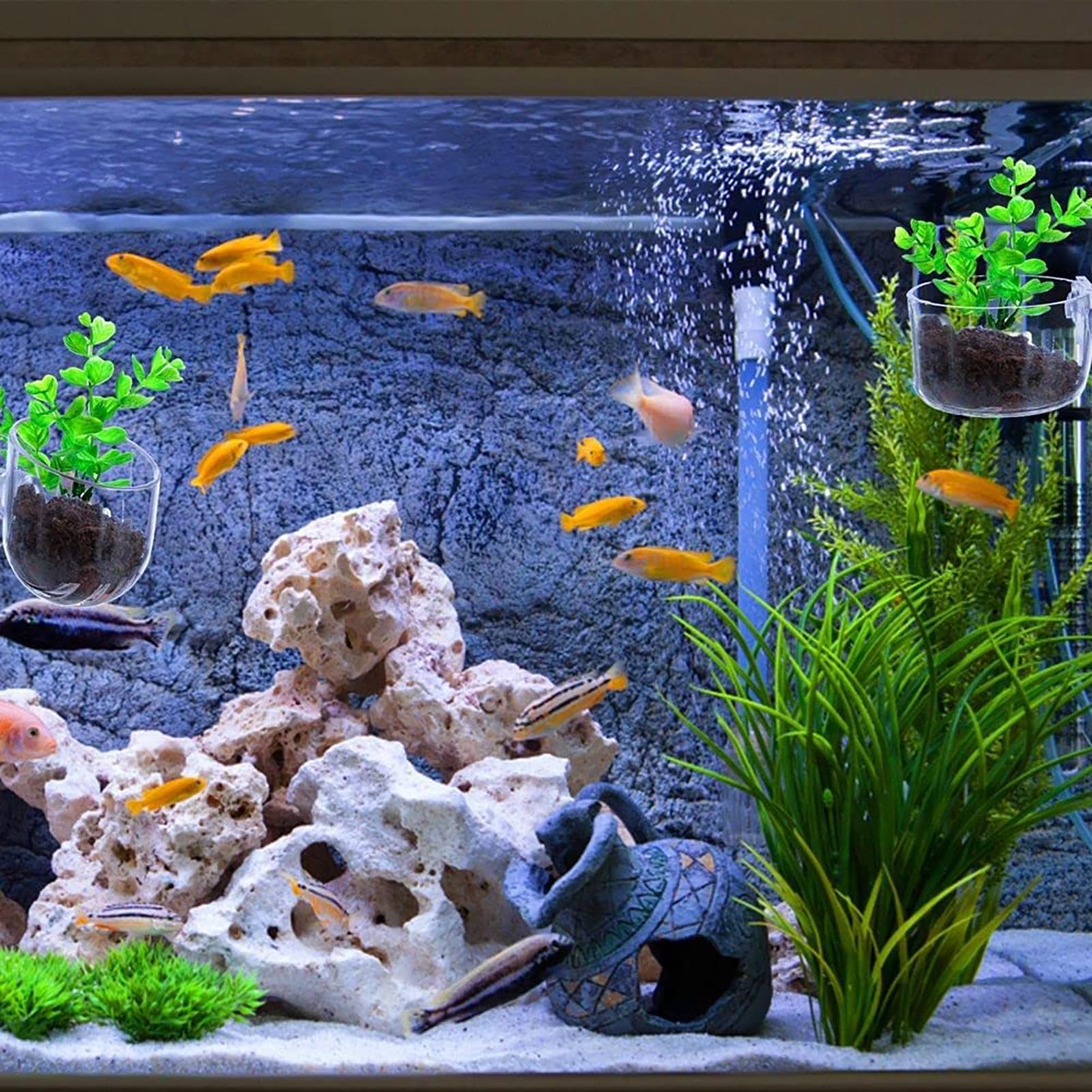 กระถางปลูกพืชน้ำอะคริลิกใสพร้อ - Aquarium Fish Pot บทวิจารณ์และราคา