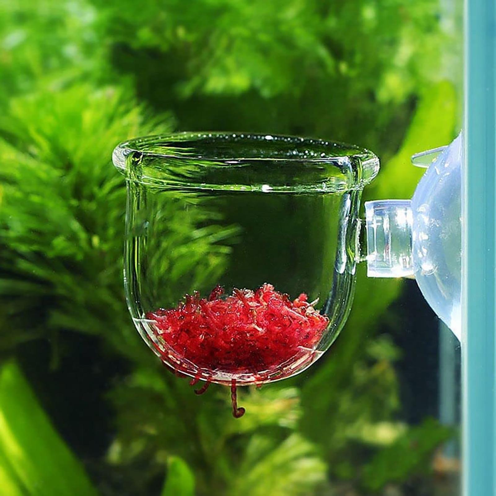 กระถางปลูกพืชน้ำอะคริลิกใสพร้อ - Aquarium Fish Pot บทวิจารณ์และราคา
