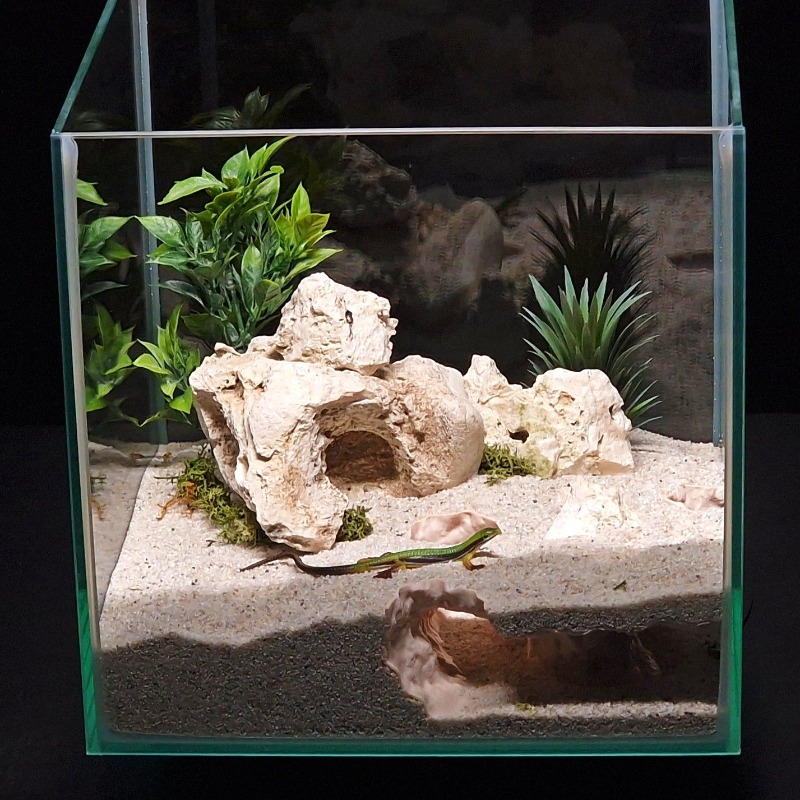 อุโมงค์ตกปลาพิมพ์ 3 มิติ สำหรั - Aquarium Fish Cave บทวิจารณ์และราคา