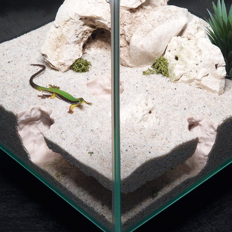 อุโมงค์ตกปลาพิมพ์ 3 มิติ สำหรั - Aquarium Fish Cave บทวิจารณ์และราคา