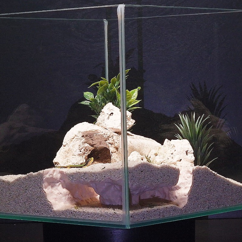 อุโมงค์ตกปลาพิมพ์ 3 มิติ สำหรั - Aquarium Fish Cave บทวิจารณ์และราคา