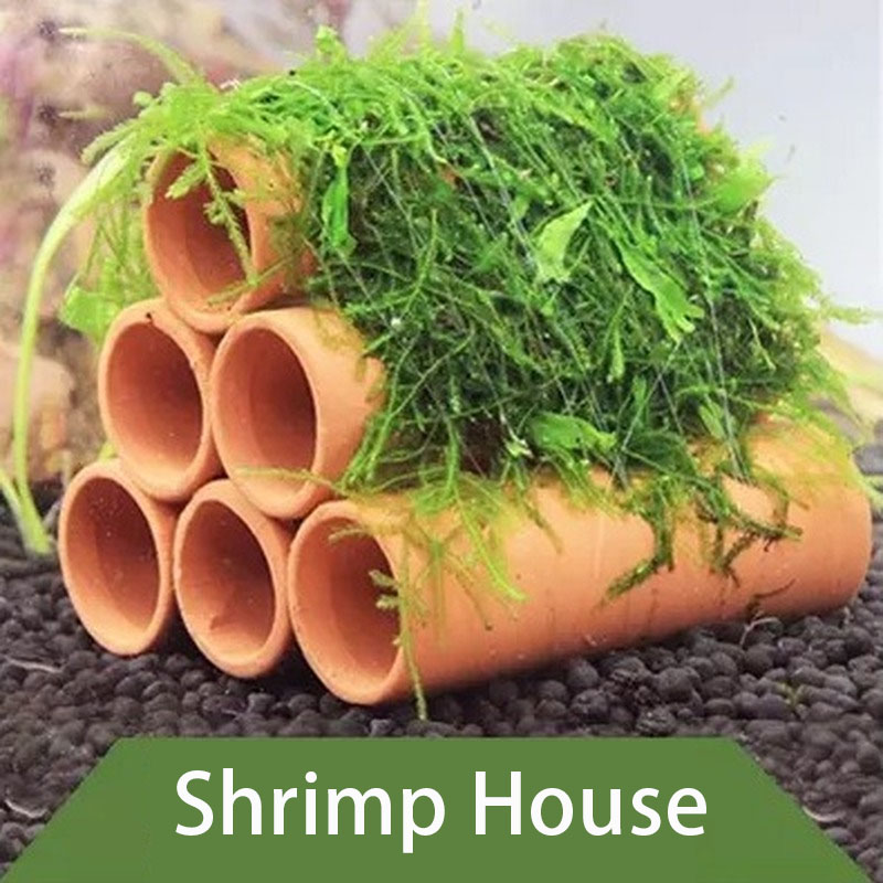 Clay Aquarium ตกแต่งปลากุ้งเล่ - Aquarium Fish Cave บทวิจารณ์และราคา