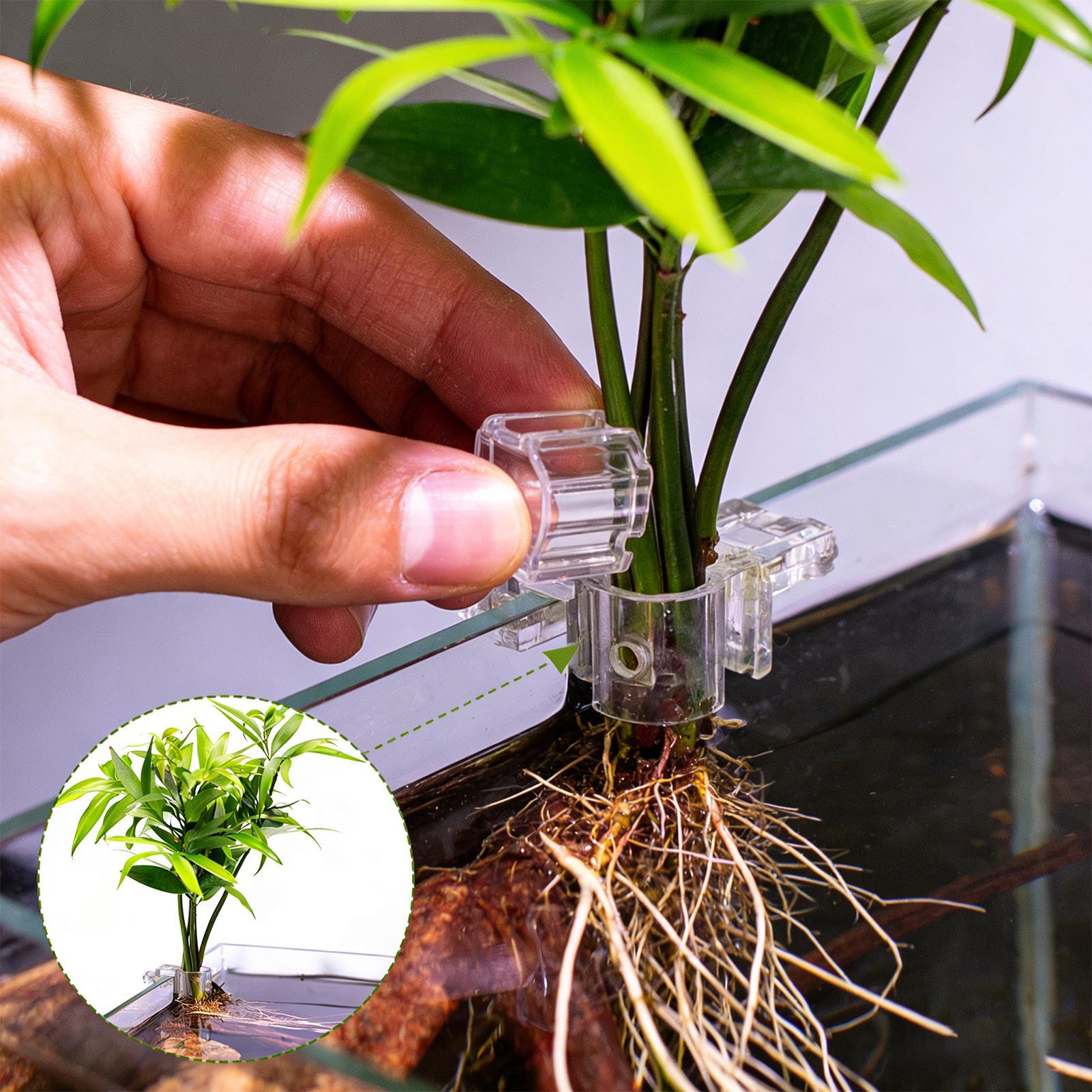 ตะกร้าปลูกต้นไม้ในตู้ปลา กระถา - Aquarium Fish Pot บทวิจารณ์และราคา