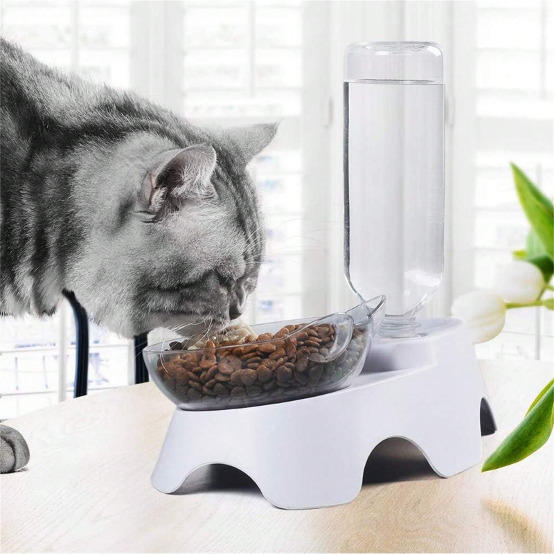 ชุดชามอาหารและน้ำสำหรับสัตว์เล - Royal Canin Food Medium บทวิจารณ์และราคา