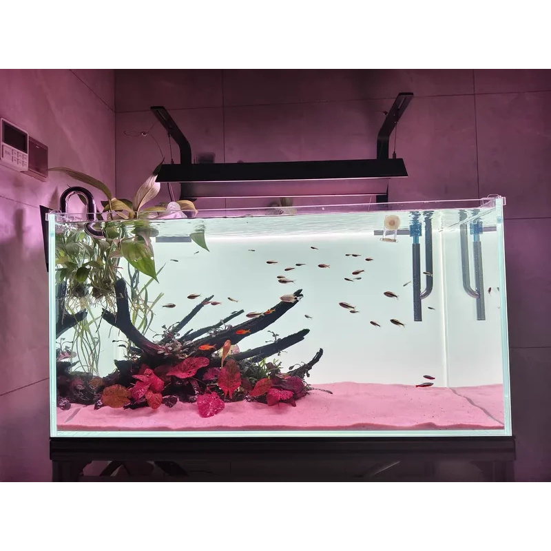 ฉากหลังตู้ปลาอะคริลิค RGB สีสั - Aquarium Fish Colour บทวิจารณ์และราคา