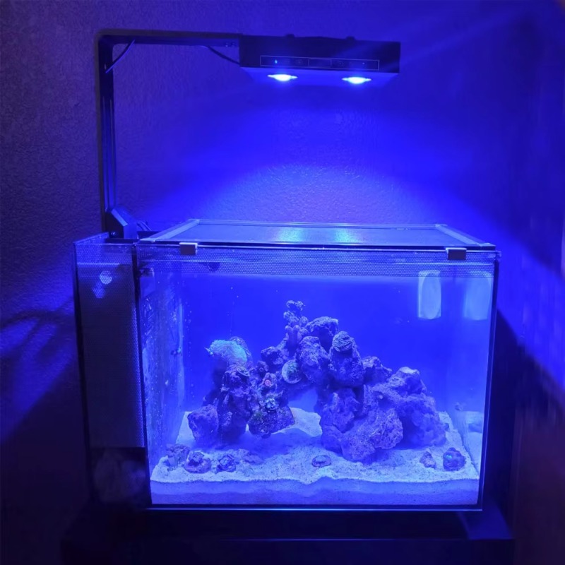 ไฟ LED สเปกตรัมเต็ม 95 วัตต์ ป - Aquarium Fish Supplier บทวิจารณ์และราคา