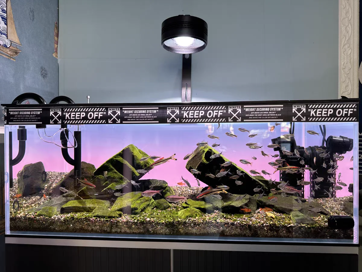ฉากหลังตู้ปลาอะคริลิค RGB สีสั - Aquarium Fish Colour บทวิจารณ์และราคา