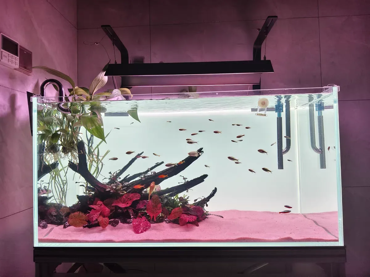 ฉากหลังตู้ปลาอะคริลิค RGB สีสั - Aquarium Fish Colour บทวิจารณ์และราคา