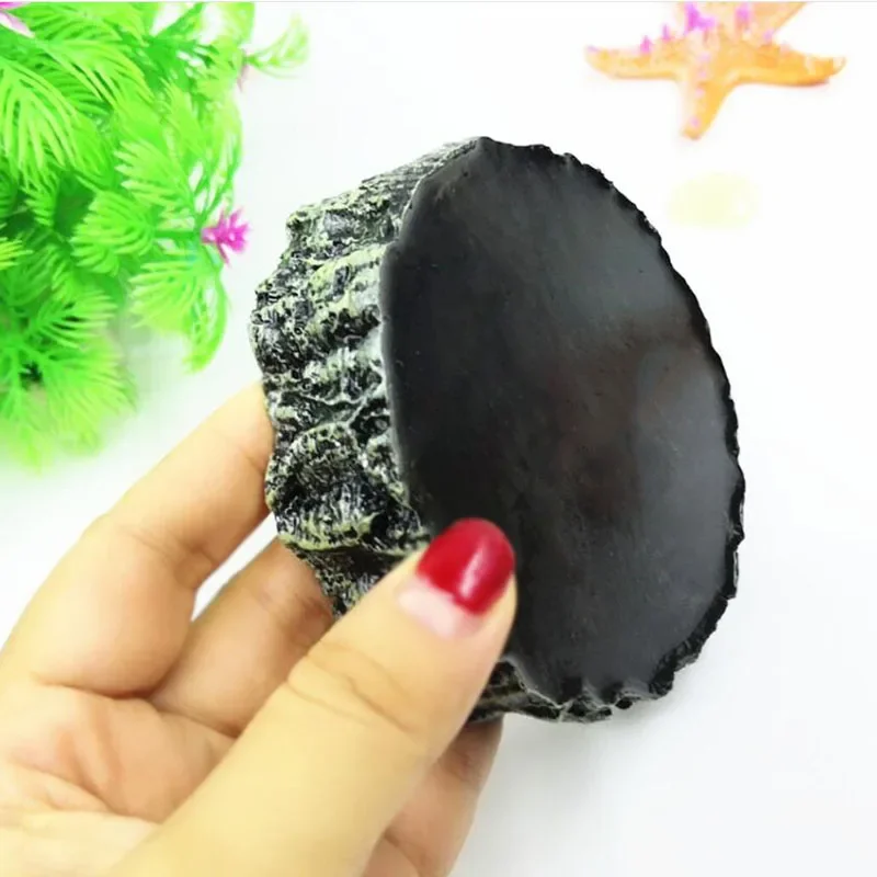 สัตว์เลี้ยงสัตว์เลื้อยคลาน Fee - Aquarium Fish Pot บทวิจารณ์และราคา